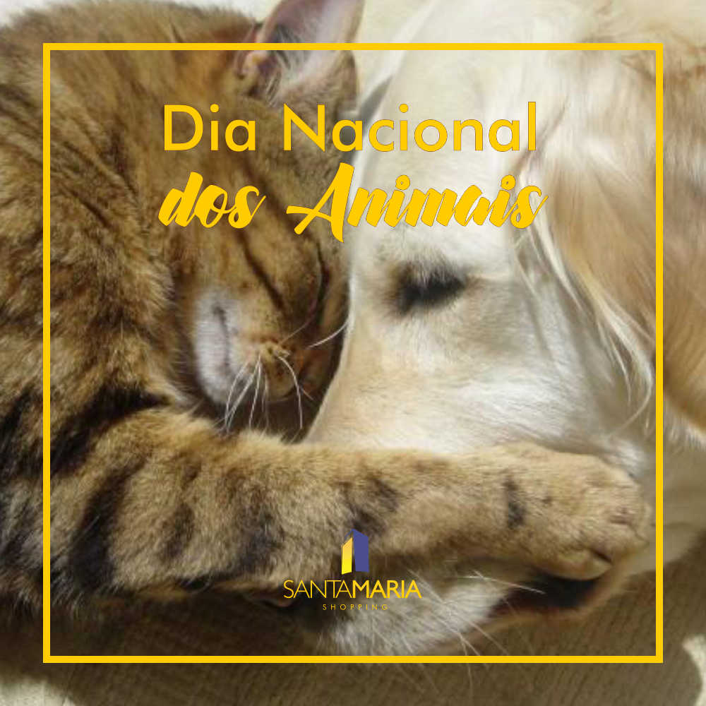 Dia_Nacional_Animais